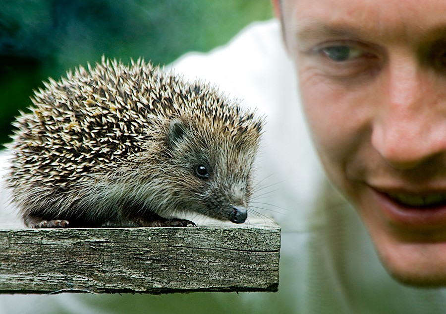 Mit einem Auge um Auge