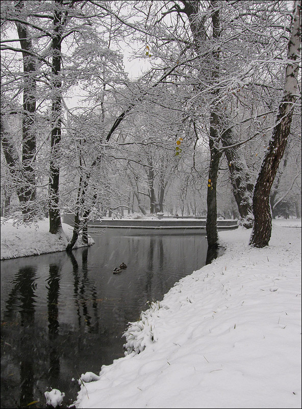 nur im Winter begonnen