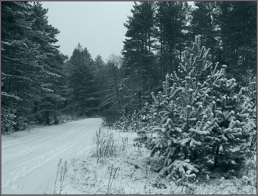 Snezhana? Nicht Listapad!