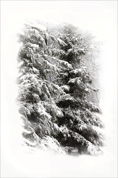 Eine solche Schneefall ...