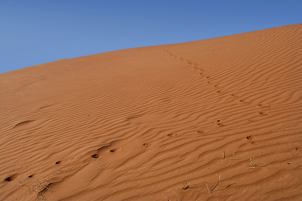 Sehen Sie, wer war ...