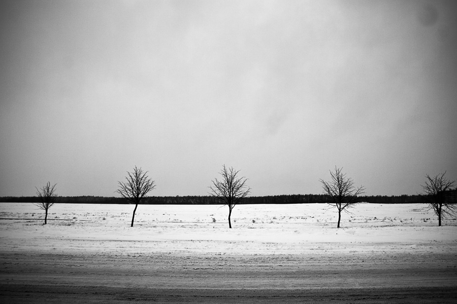 und wieder die Serien-oder ...