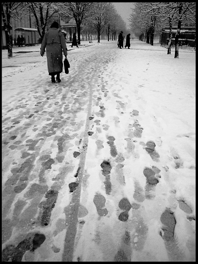 Midnight Manifestation