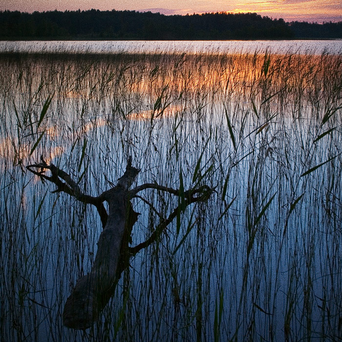 Moped ist nicht mein, ich
