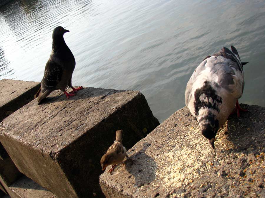 durchbrach die Verteidigung)