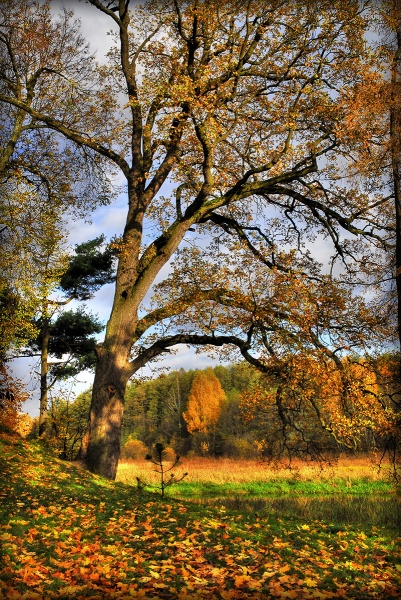 Loschitsa Schönheit
