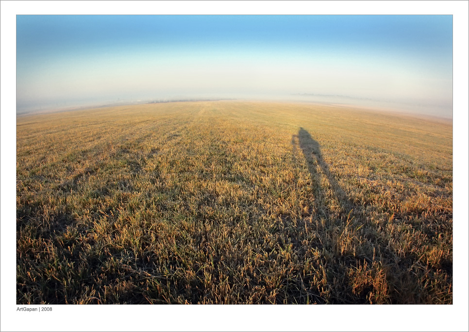Auf drei Säulen und einer Schildkröte ...
