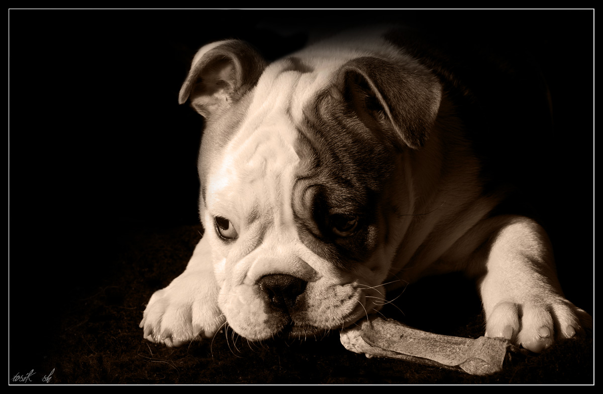 Ehh, würde ich ein Stück gewonnen haben ...