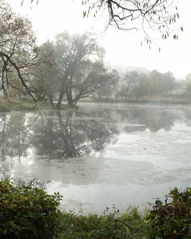 Alle Schmelzen Dunst: Hügel, Wälder ...