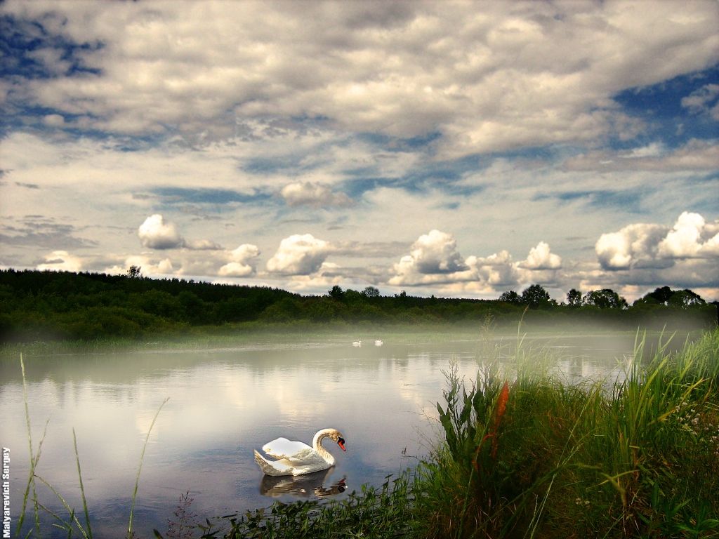 Escape in den Himmel