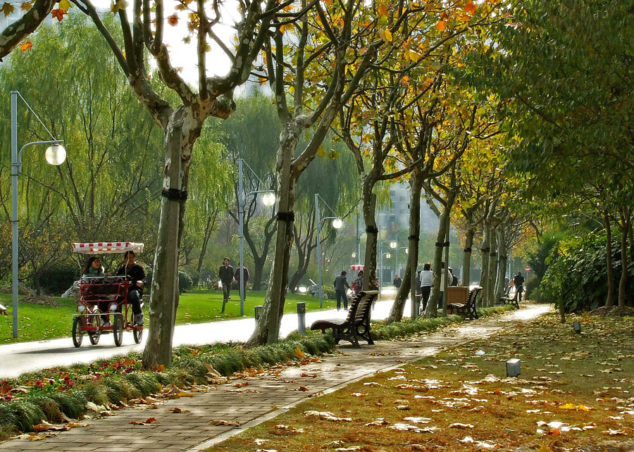 Shanghai Herbst Atem