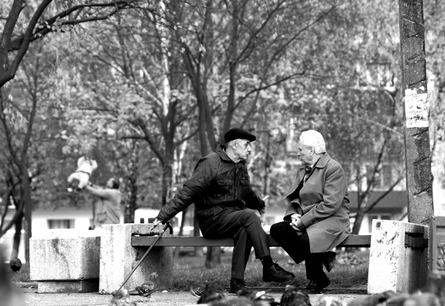 Die Geschichte der großen Fische, Tauben und Kinder Astronauten ..