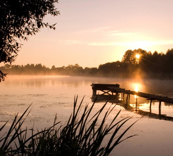 VIP-Plätze zu sehen, die erstaunlichen Leistungen 2
