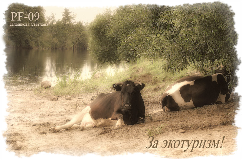 für den Ökotourismus!