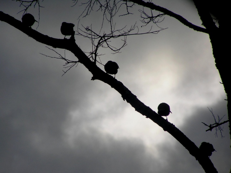 BW-Leben: Augen rechts