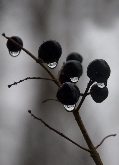 Tränen der letzte Tag des Herbstes