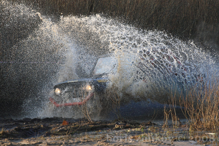 and what I do not amphibian