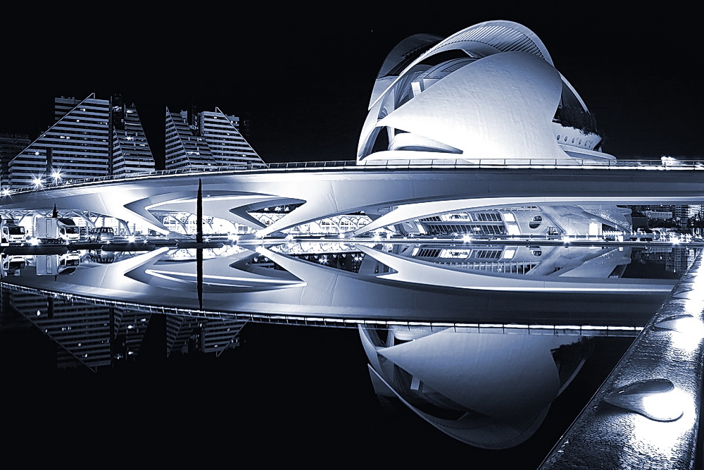 El Palau de les Arts Reina Sofía in b&w