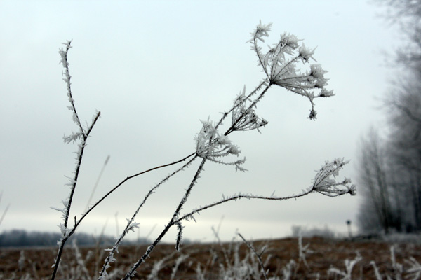fliegen, wenn ich könnte ...