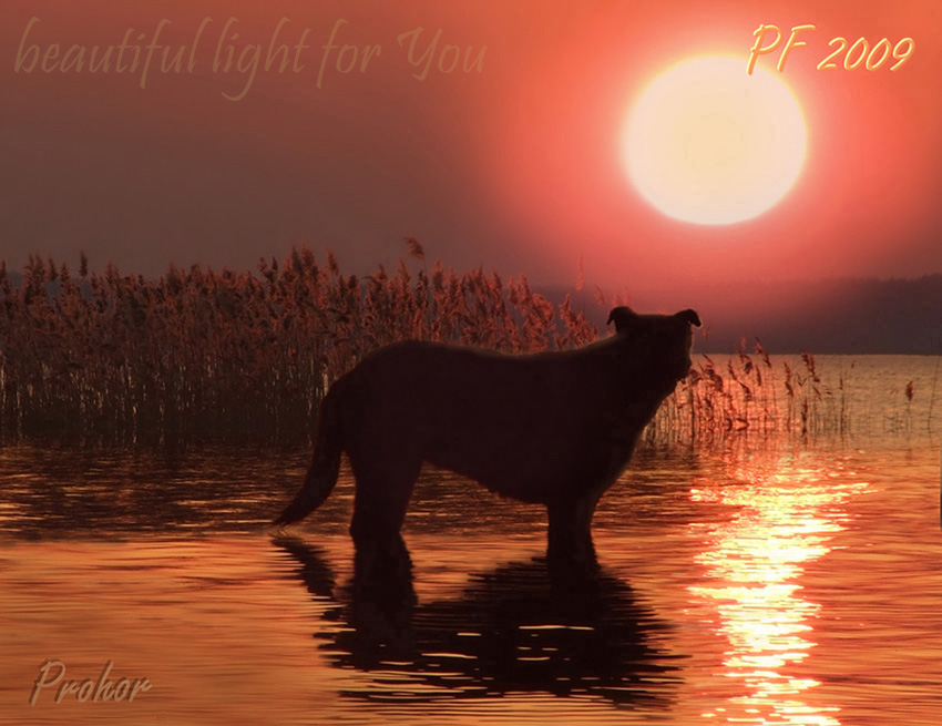 beautiful light for You