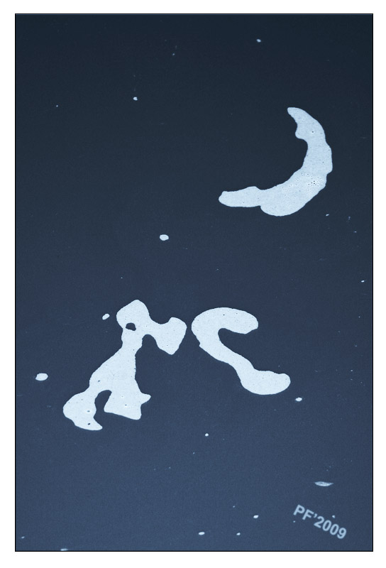 Pudel essen Wurst einer mondhellen Nacht