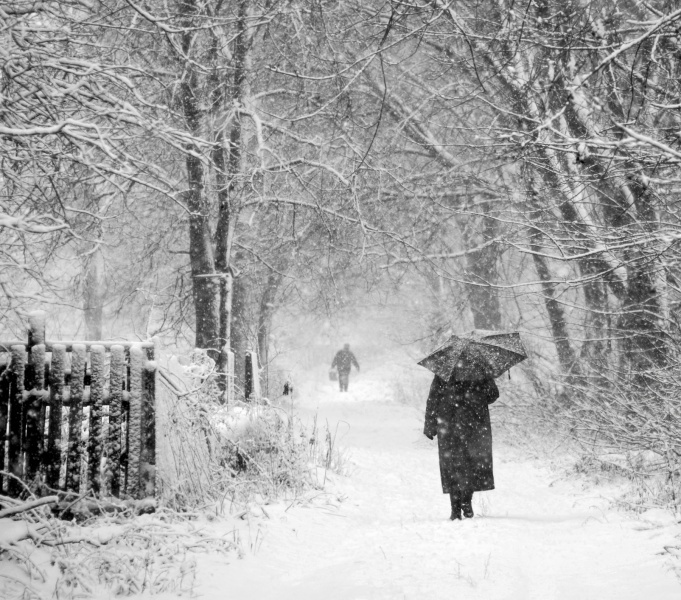 ungewöhnlichen Spaziergang (Winter)