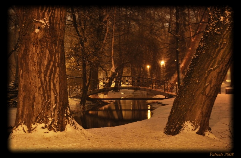 Nacht im Park