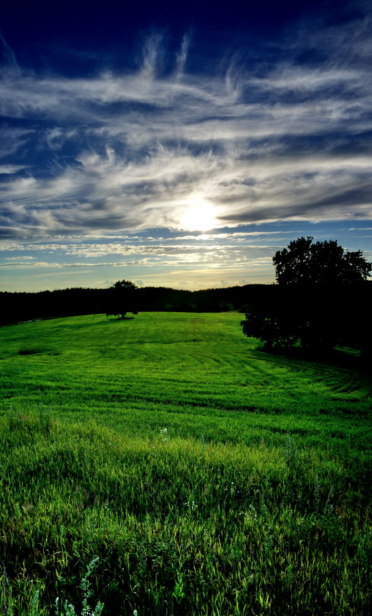 "Und der Traum, den wir nicht Brüllen des Baikonur ...