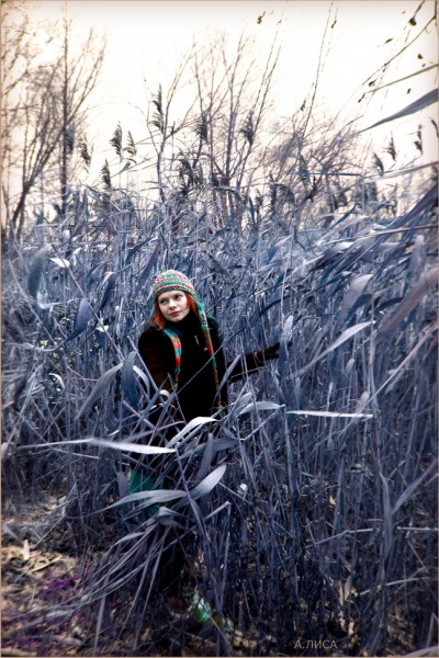 Im Halbschlaf auf der Ebene der alpha