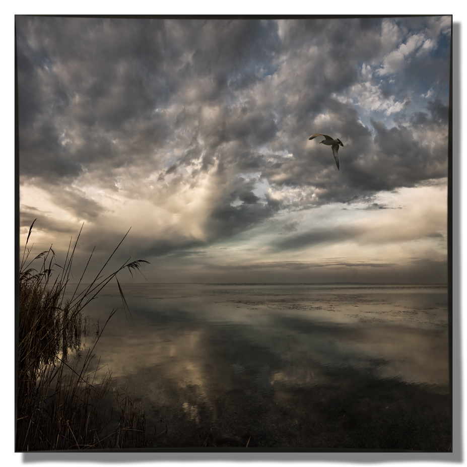 Zu Beginn der Glückseligkeit