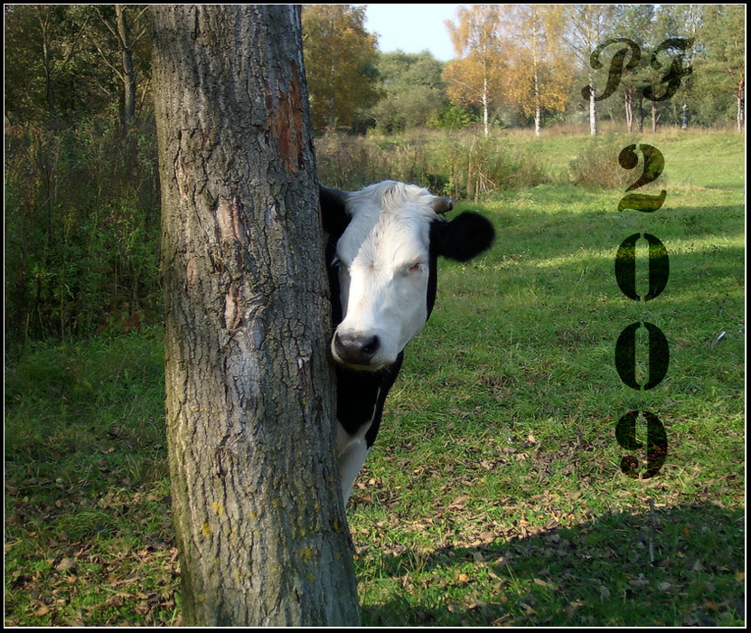 Vor links .... Stunden .... Minuten ...