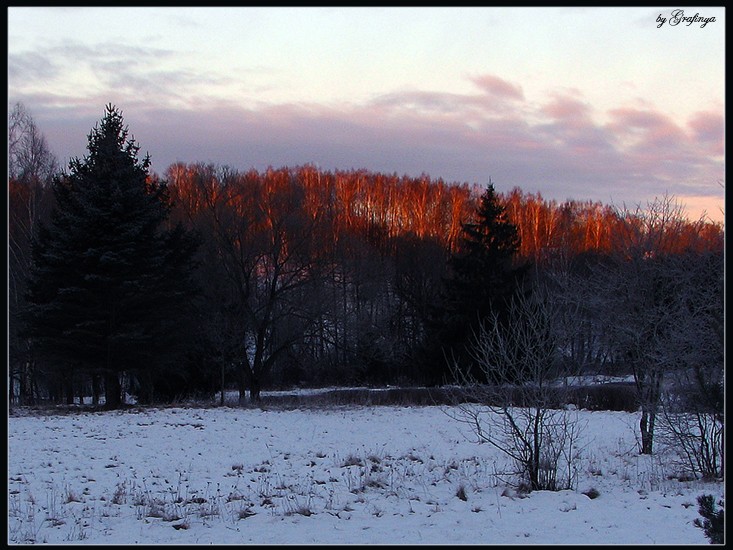 Dawn in Vyazynke III