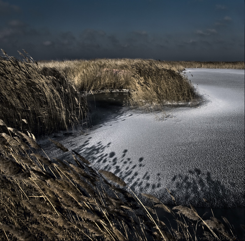 Rauschende Blätter ...