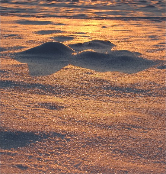 Über barhanchikah ..