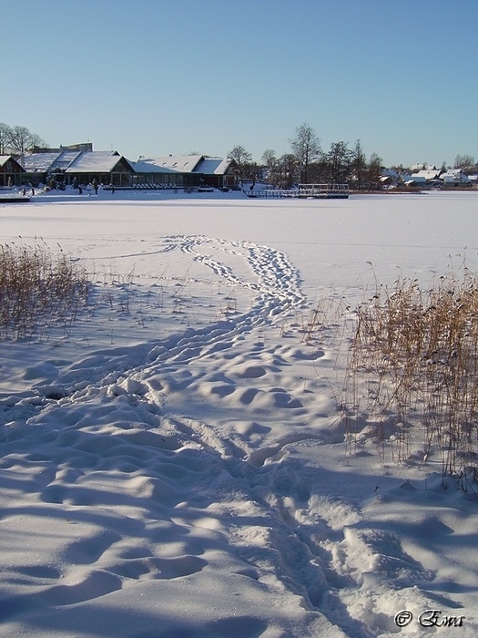 Dort auf dem schneebedeckten Spuren ...