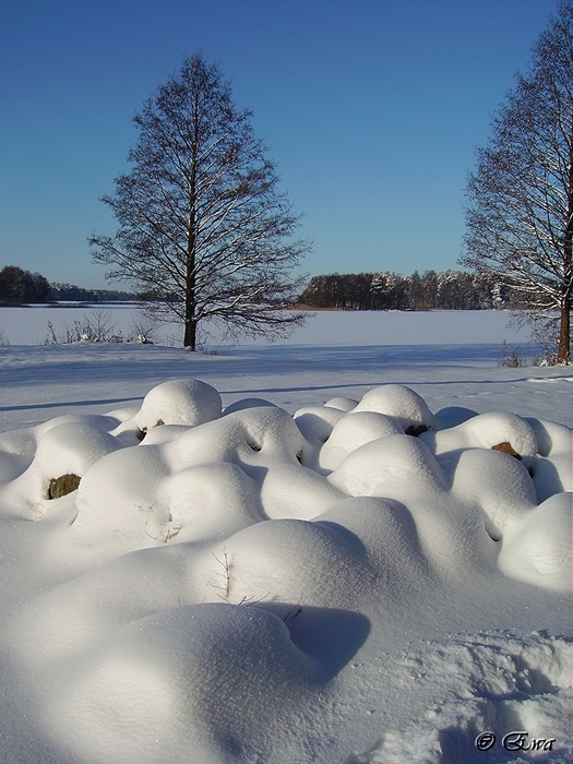 Der Besuch einer Märchen.
