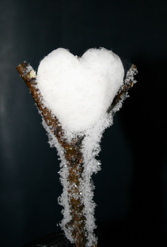 Snow Heart