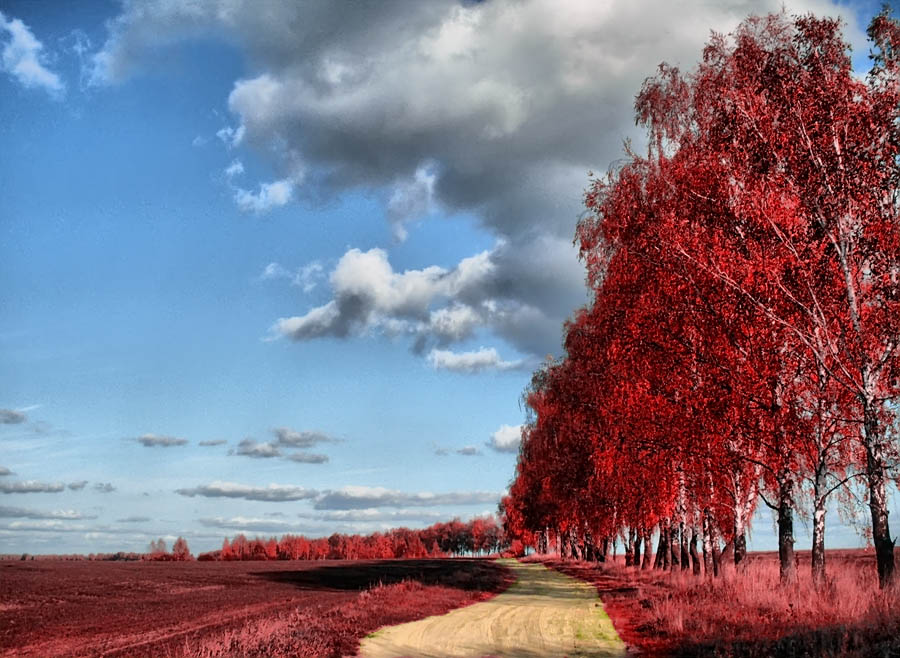 Andere Farben der Natur!