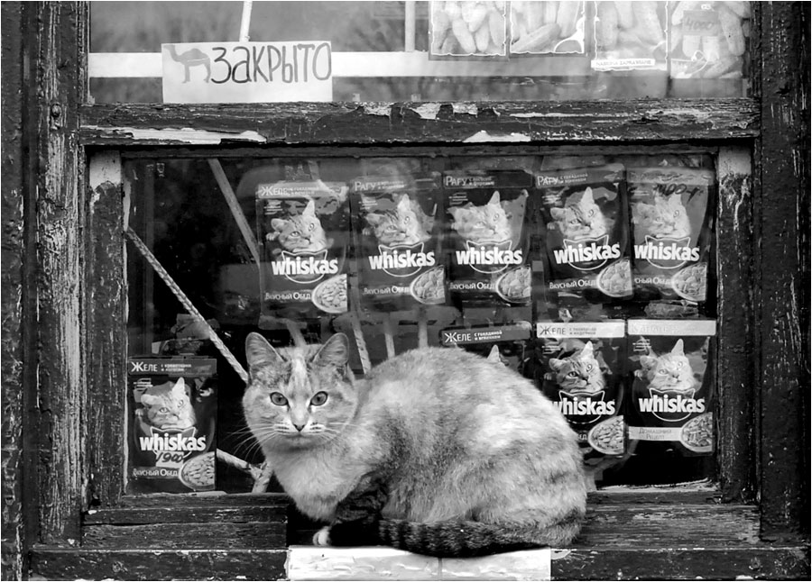 Nehmen Sie an der Reihe