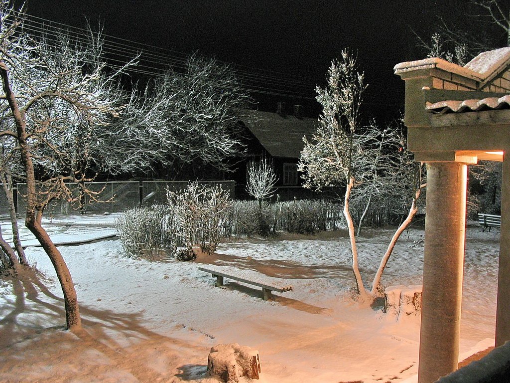 Winter aus meinem Fenster