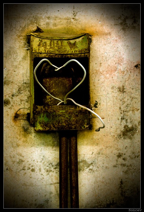 noch einmal über die Liebe ...