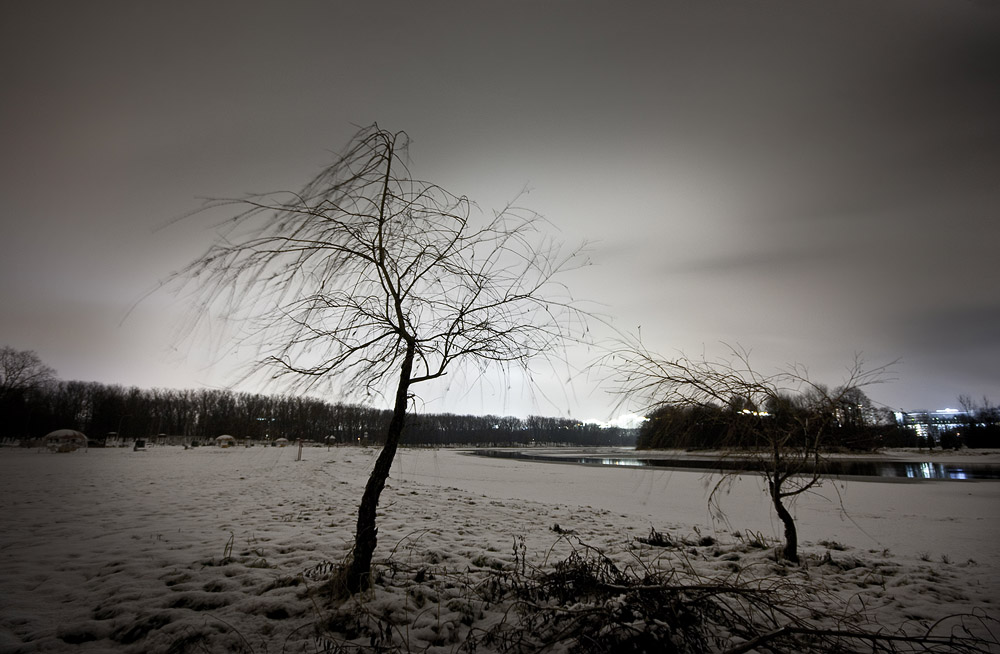 Über die Winternacht