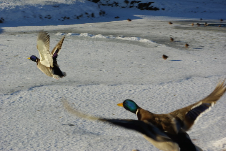 "Catch up nach allen !!!!"