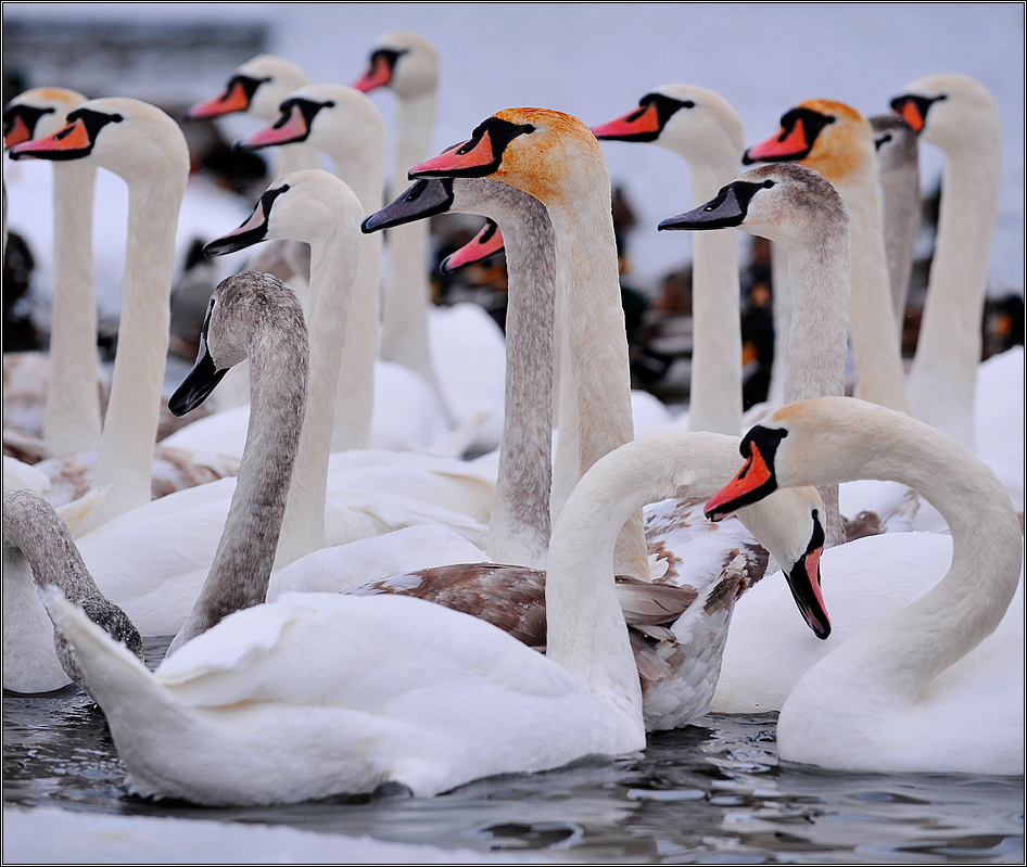 Der Rhythmus der Natur