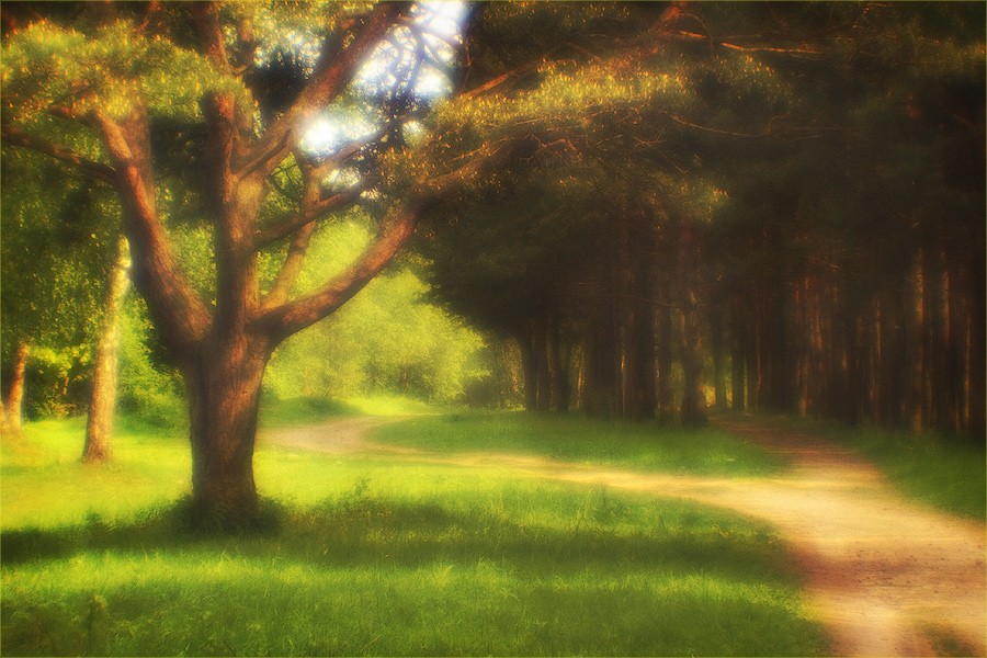 Die Zärtlichkeit der Morgensonne