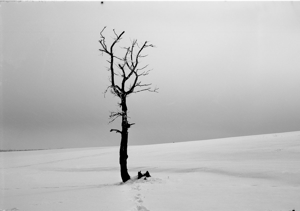 Von der Foto-Archiven. Winterlandschaft.