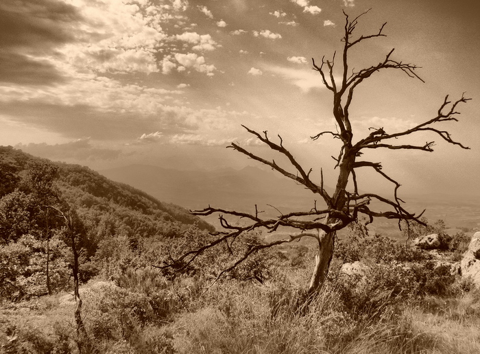 Haben Sie nicht wie alles