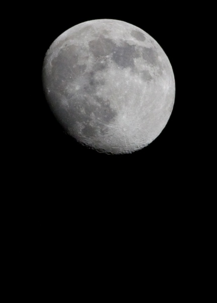 Unser Nachbar in der Nacht