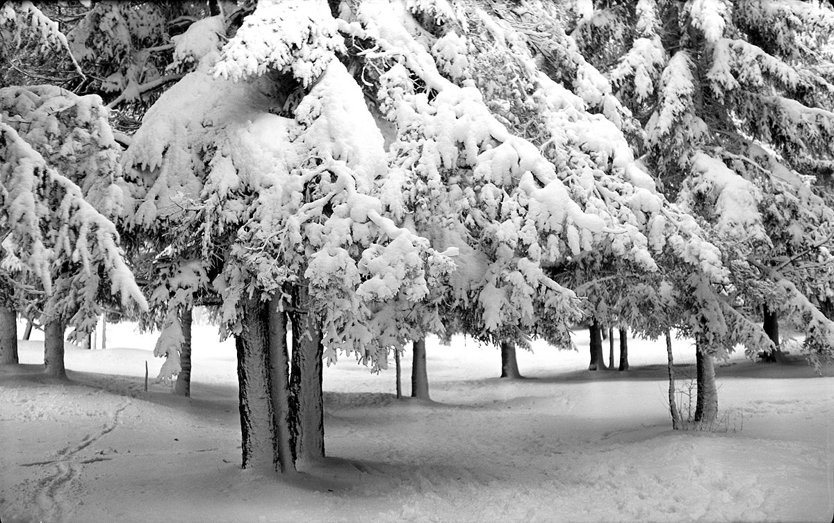 Von der Foto-Archiven. Ate im Schnee. 1990-er Jahren.