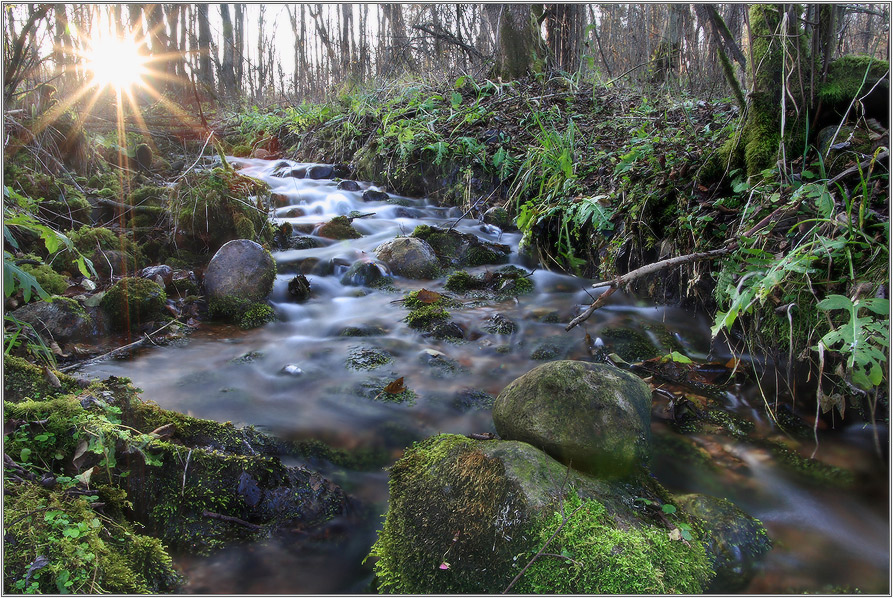 Waldbach in der Dämmerung (repost)